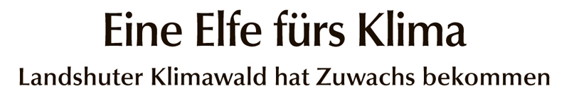Presse_LZ_2019_10_28.jpg